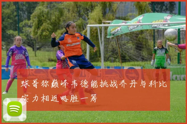球哥称巅峰韦德能挑战乔丹与科比实力相近略胜一筹