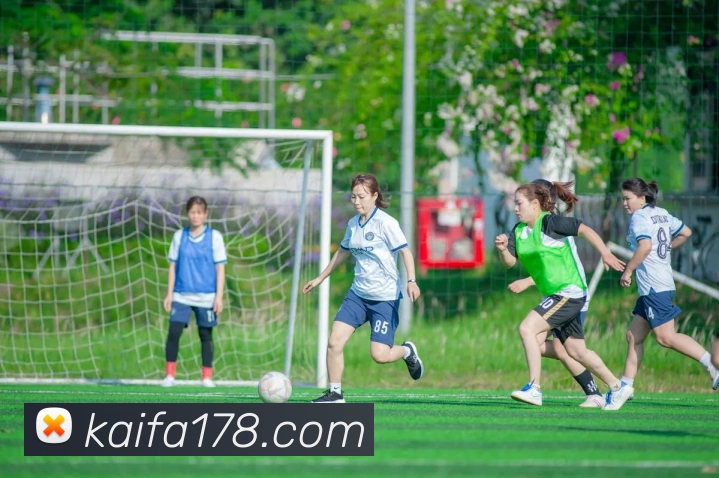 凯发平台平台生态图